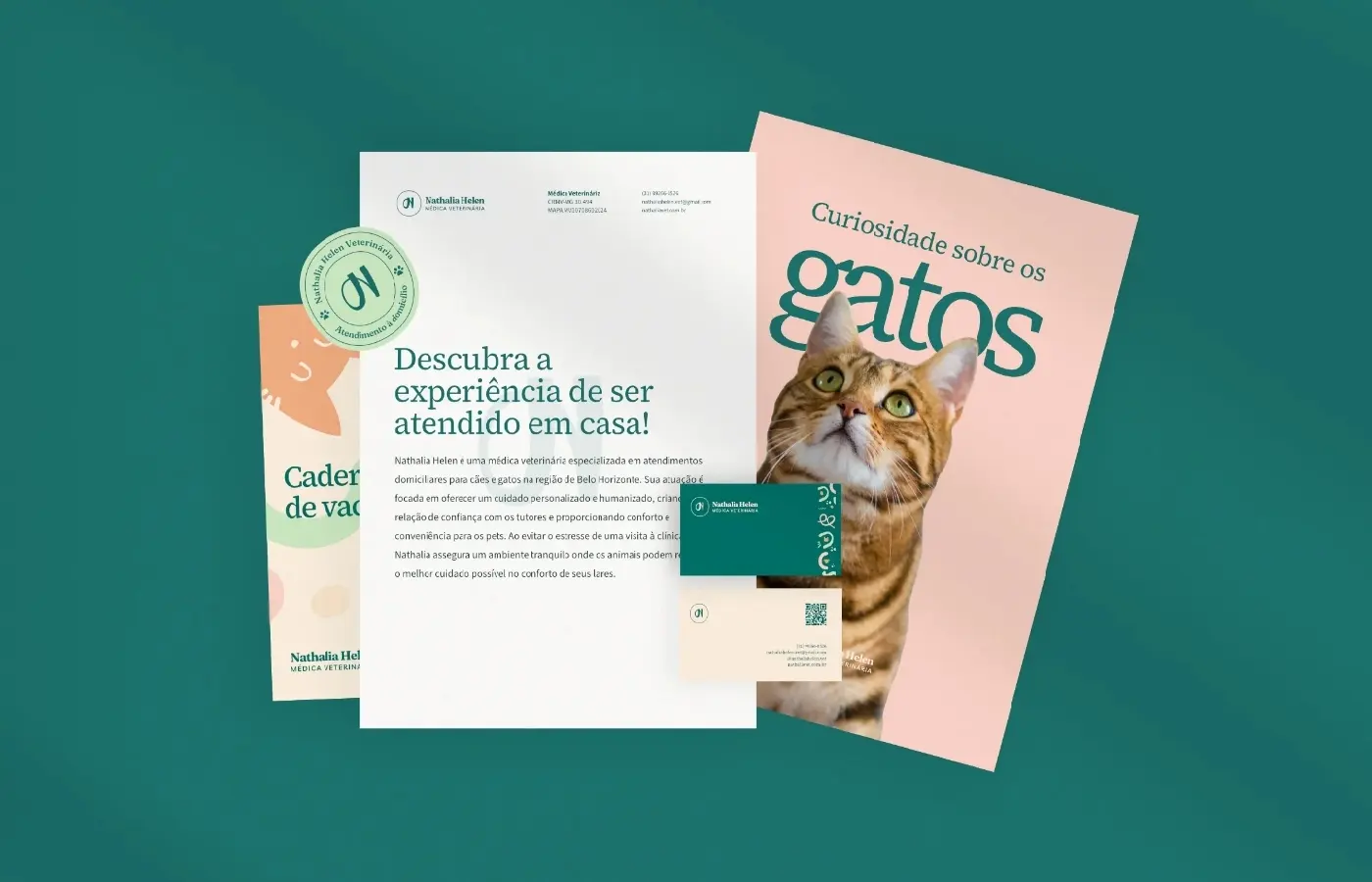 Identidade visual - Nat Vet BH